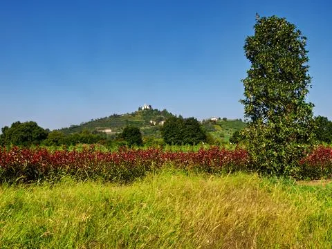 Country landscape in the Montevecchia e Curone park, Lecco province, Italy,.. Stock Photos