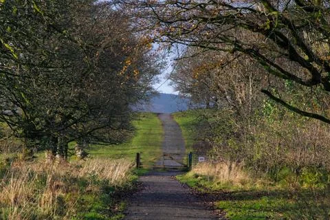 A country lane near Murdock Castle, Scotland Stock Photos
