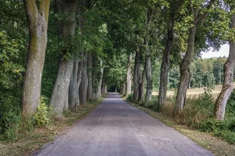 Country lane near Zajaczki, small village near Ostroda town in Poland Stock Photos
