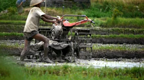 Country man 2 Stock Footage 7729176