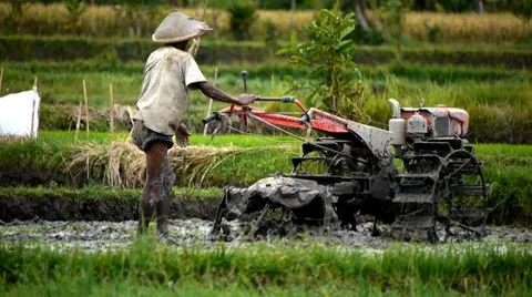 Country man 5 Stock Footage 7729183