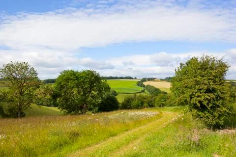 Country meadows Stock Photos