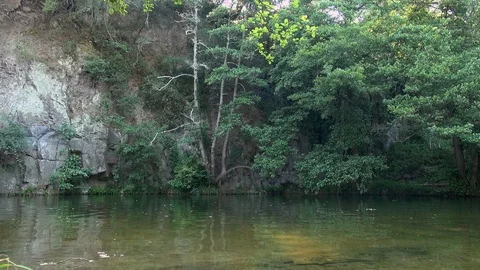 Country mountain river stream forest woods nature Stock Footage 120741645