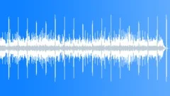 Country Music, Unparagoned Music for Cultivated Shopping ComplexesStock Music