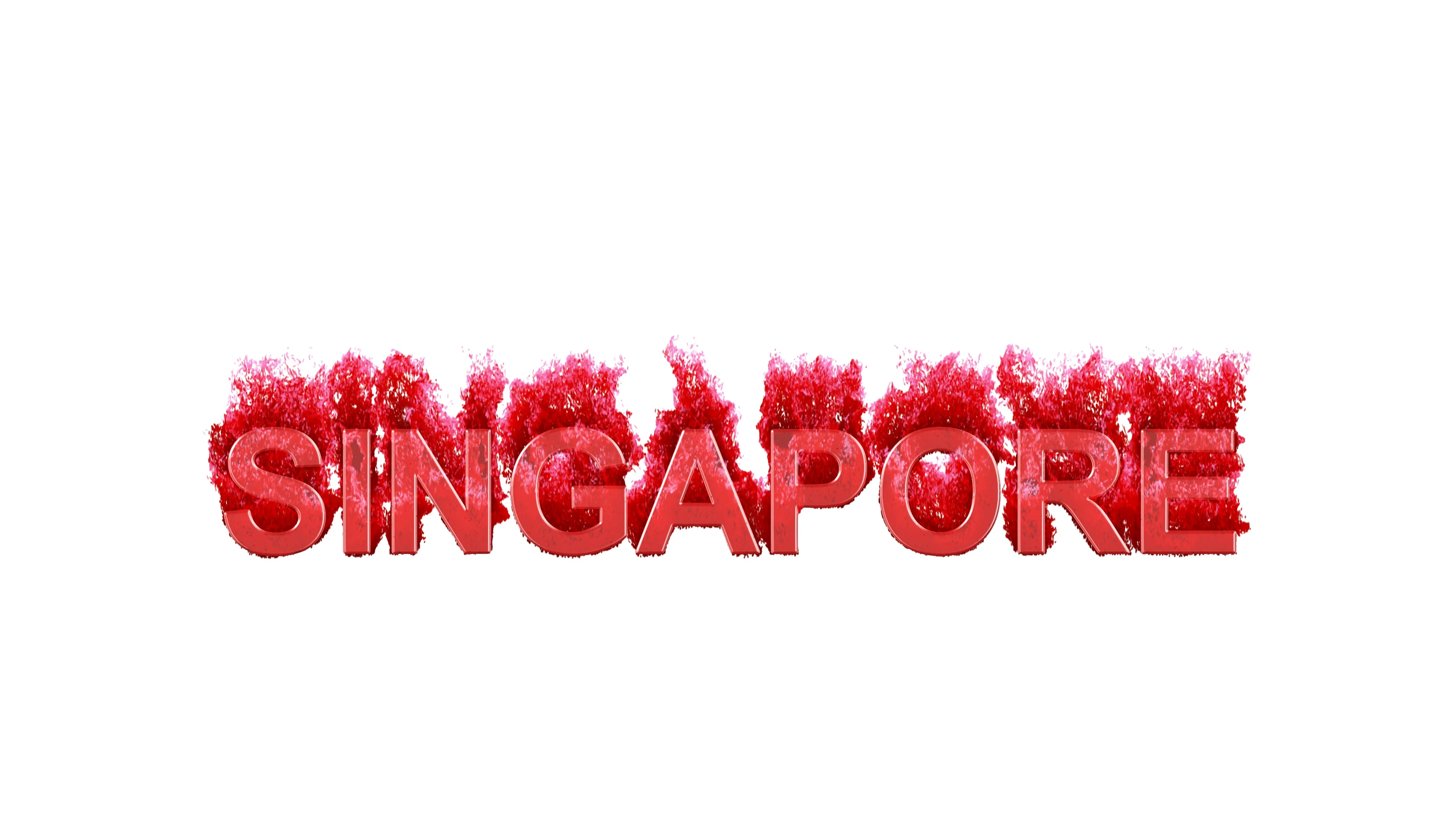 Image result for singapore name