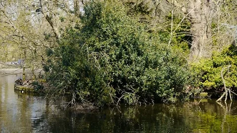 Country park Stock Footage 112697271