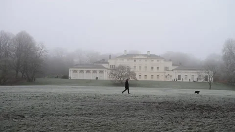 A country park. Stock Footage 146391832