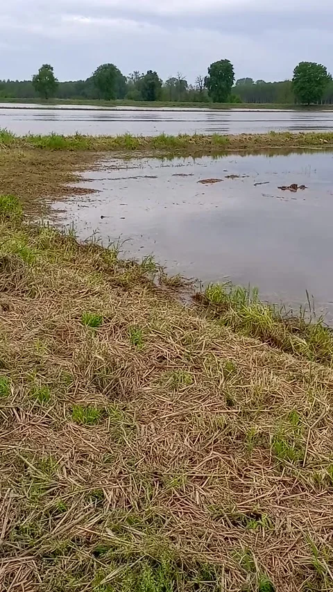 Country path and flooded fields Stock Footage 307099098