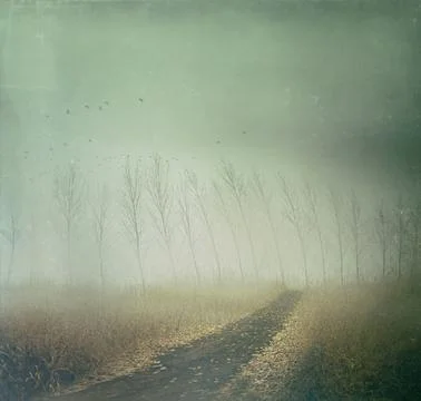 Country path in autumn fields Stock Photos