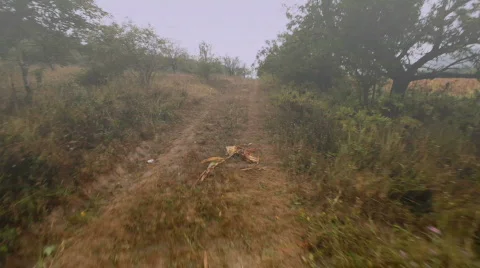 Country Path Stock Footage 664735