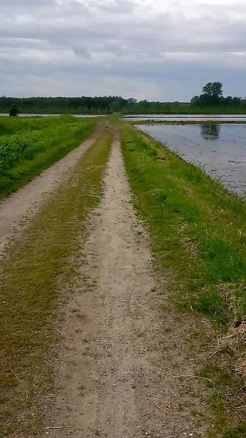 Country path Video stock 307100562