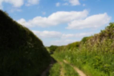 Country path with hedges on either side Out of focus. Stock Photos