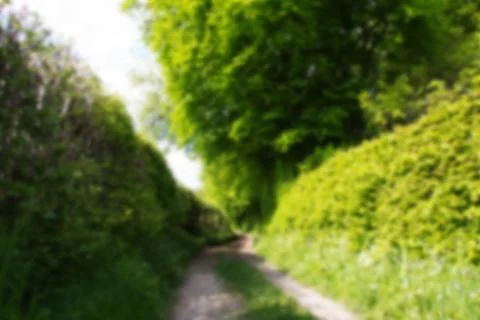 Country path with hedges on either side Out of focus. Stock Photos