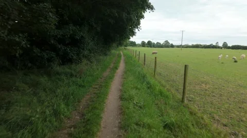 Country Path Next to a Sheep Field, Water Newton Stock Footage 336202852