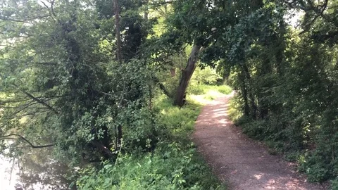 Country Path Pedestal Down 01 Stock Footage 108750355