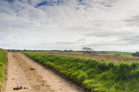 Country Path Stock Photos
