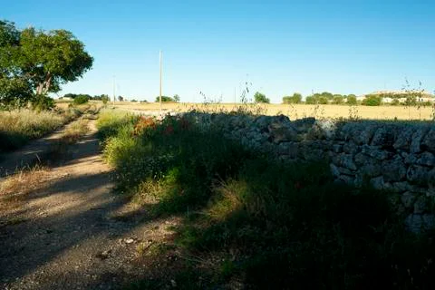 Country Path Stock Photos