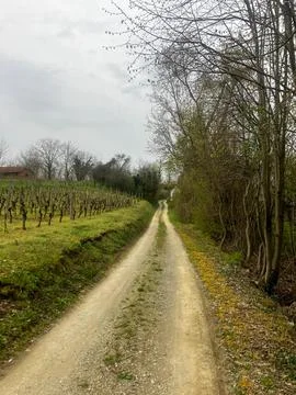 Country Path 写真素材