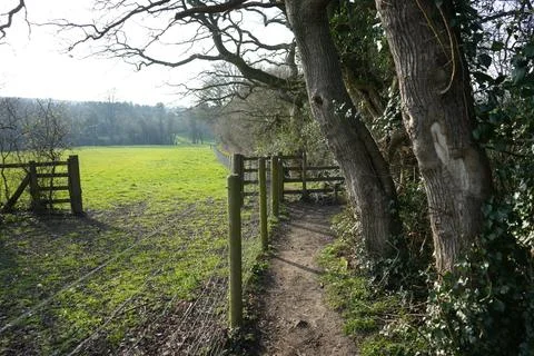 Country Path Through Fields And Woodland In Barlow, North East Derbyshire, 스톡 사진