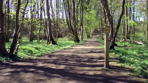 Country path waymarker trees shadows sunshine woodland Stock Footage 49450669