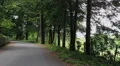 country paved mountain road HD 동영상