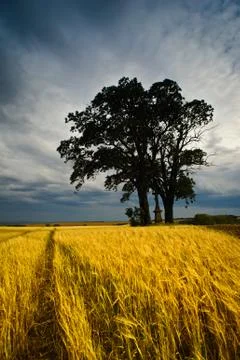 In the country Stock Photos
