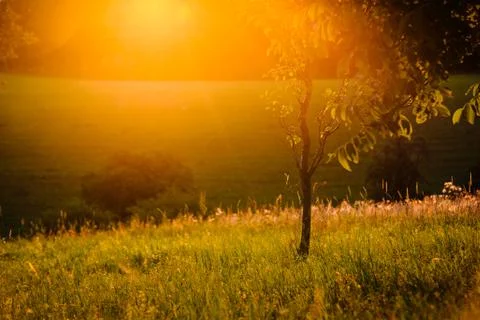 In the country Stock Photos