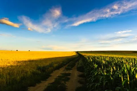 In the country Stock Photos