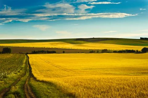 In the country Stock Photos