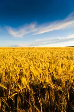 In the country Stock Photos