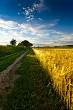 In the country Foto stock