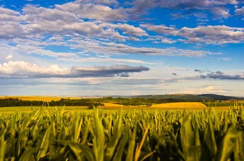 In the country Stock Photos