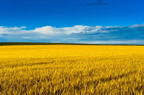In the country Stock Photos