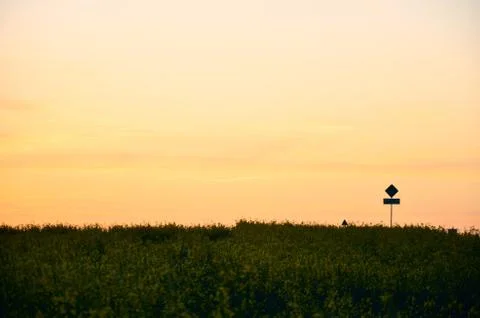 In the country Stock Photos