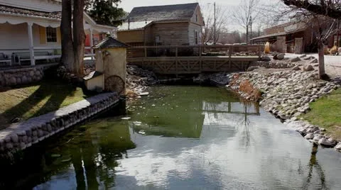 Country pond Video stock 11246194