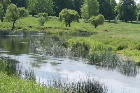 Country River. Stock Photos
