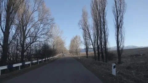 Country road 3 Stock-Footage 316168114