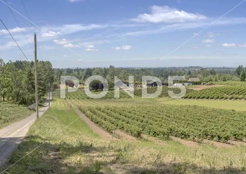Country road and farms Oregon state. Stock Photos