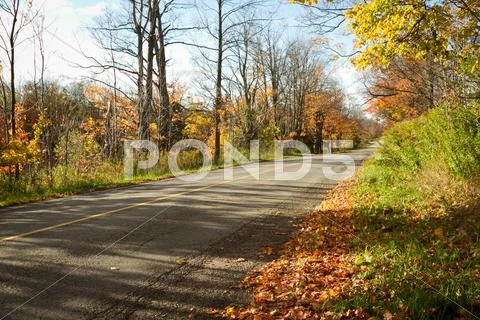 Country road in Autumn Stock Photos