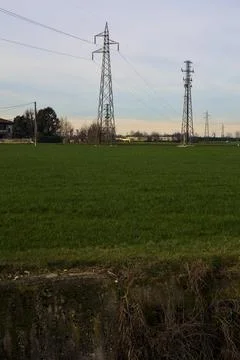 Country road between fields with bare trees and electricity pylons with ove.. Stock Photos