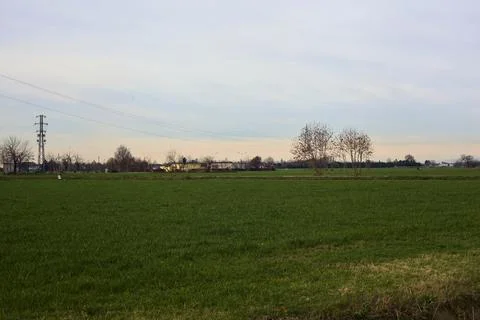 Country road between fields with bare trees and electricity pylons with ove.. Stock Photos