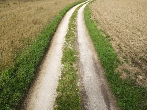 Country road between fields in the landscape Stock Photos