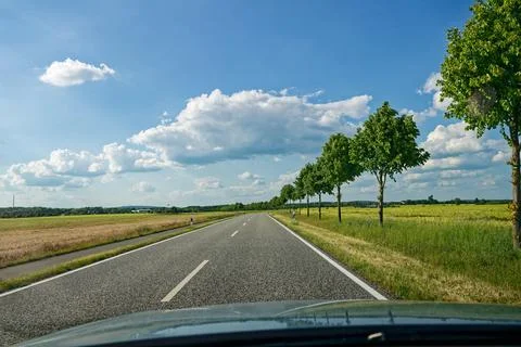 Country road between fields with round trees and dry stubble 스톡 사진