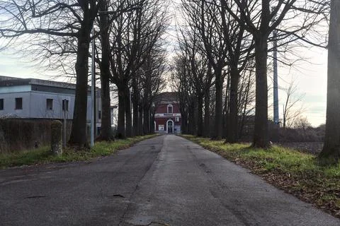 Country road bordered by bare trees that leads to a train station on a clou.. Stock Photos