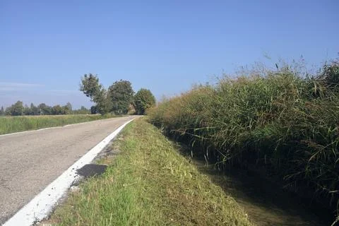 Country road bordered by a field Stock Photos