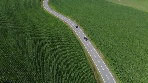 Country road enclosed by cornfields Stock Footage 143897205