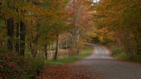 Country Road in the fall Stock Footage 270929