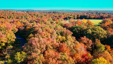 Country Road in Fall Stock Footage 231247206