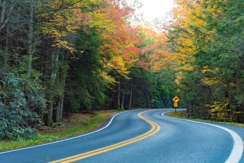 Country road in the Fall Stock Photos