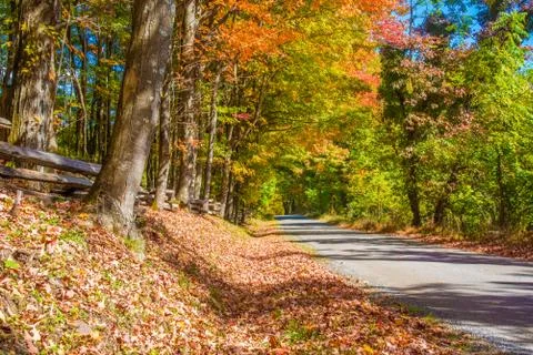 Country road in the Fall Stock Photos